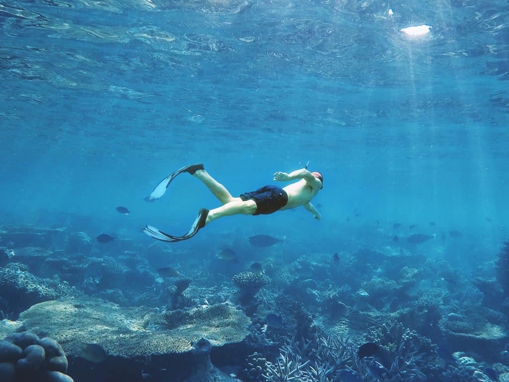 fun dive cropped bali