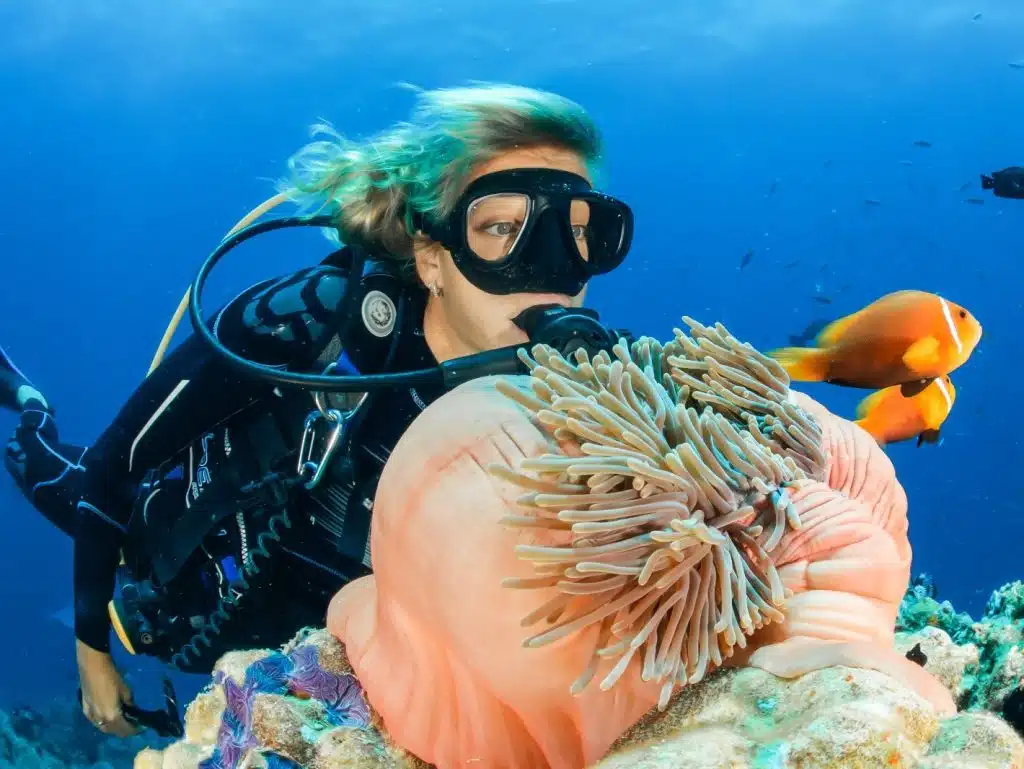 Scuba diver observing clownfish and sea anemone in coral reef in Bali