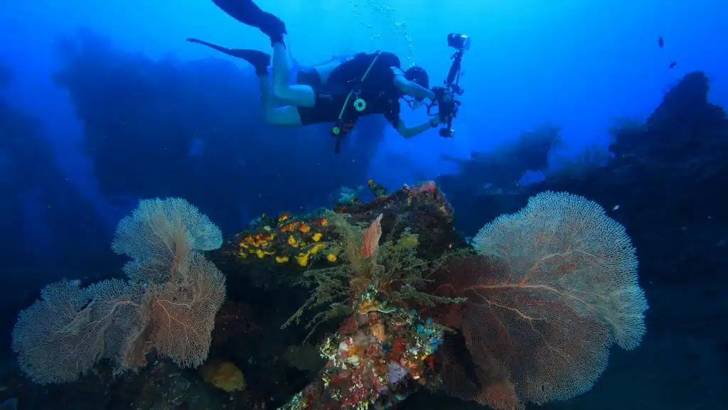 Scuba diver exploring coral reef in Amed Bali with soft corals and tropical marine life
