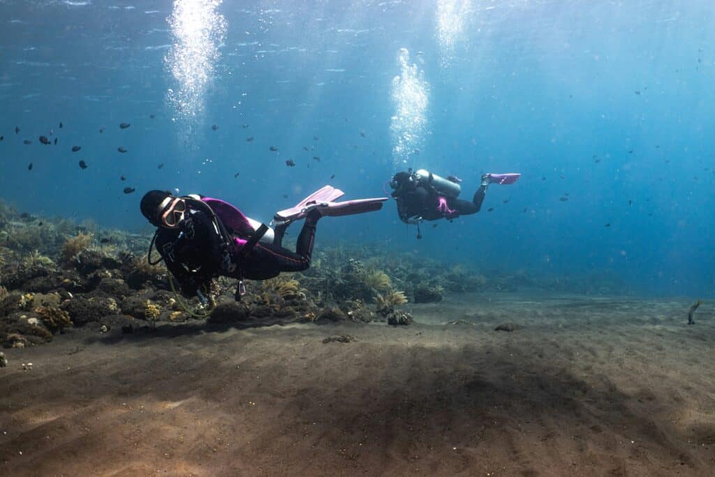 Bali seabed diving