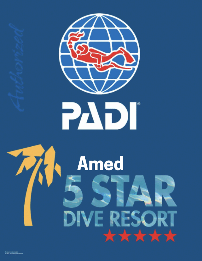 PADI 5 star logo for Amed
