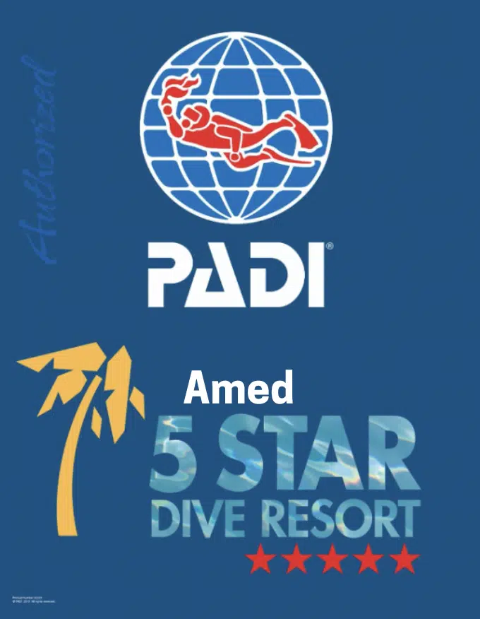 PADI 5 star logo for Amed