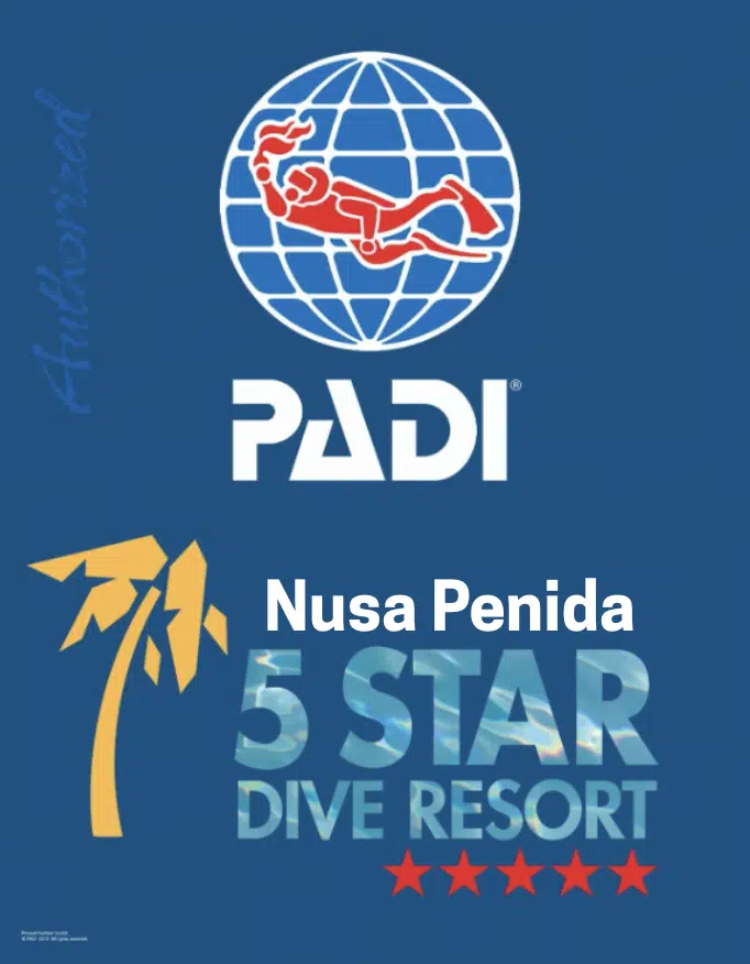 PADI 5 star logo for Nusa Penida