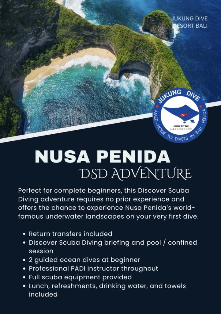 NUSA PENIDA DSD PACKAGE ONE DAY