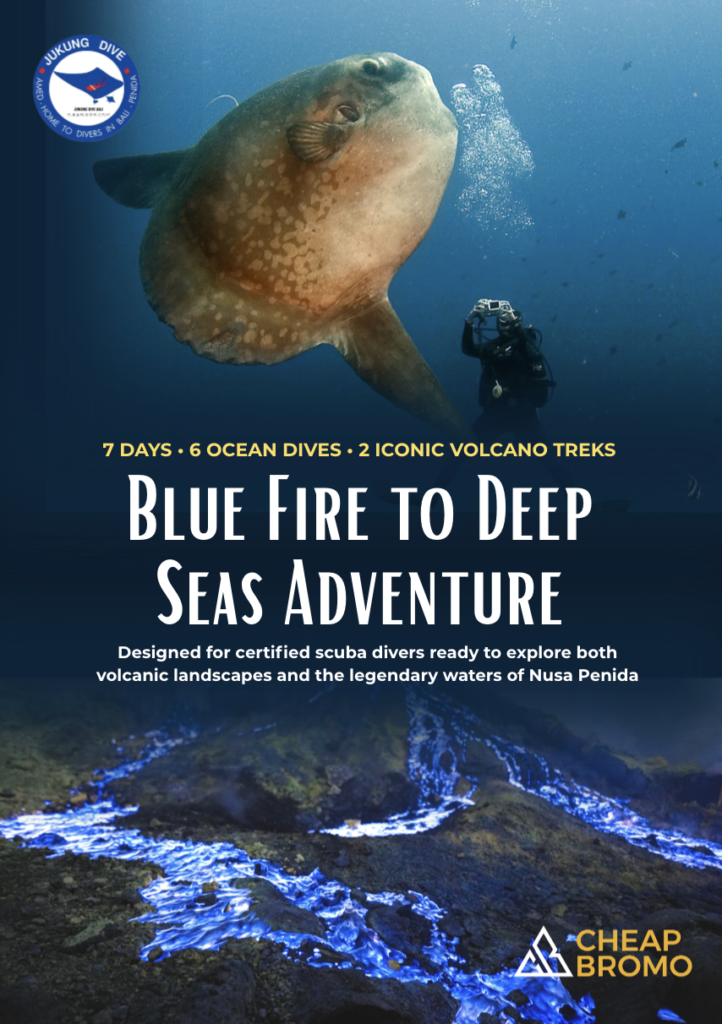 CHEAP BROMO PACKAGE BLUE FIRE TO DEP SEA