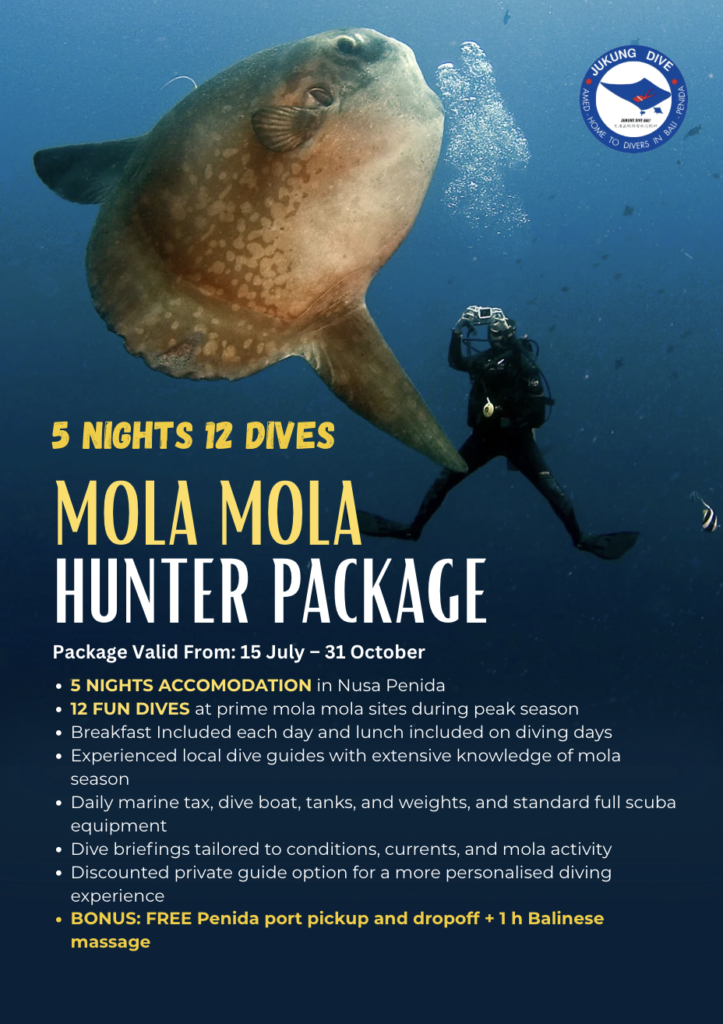 MOLA MOLA HUNTER PACKAGE