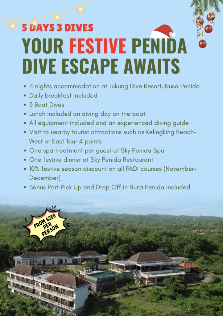 Festive dive escape package penida