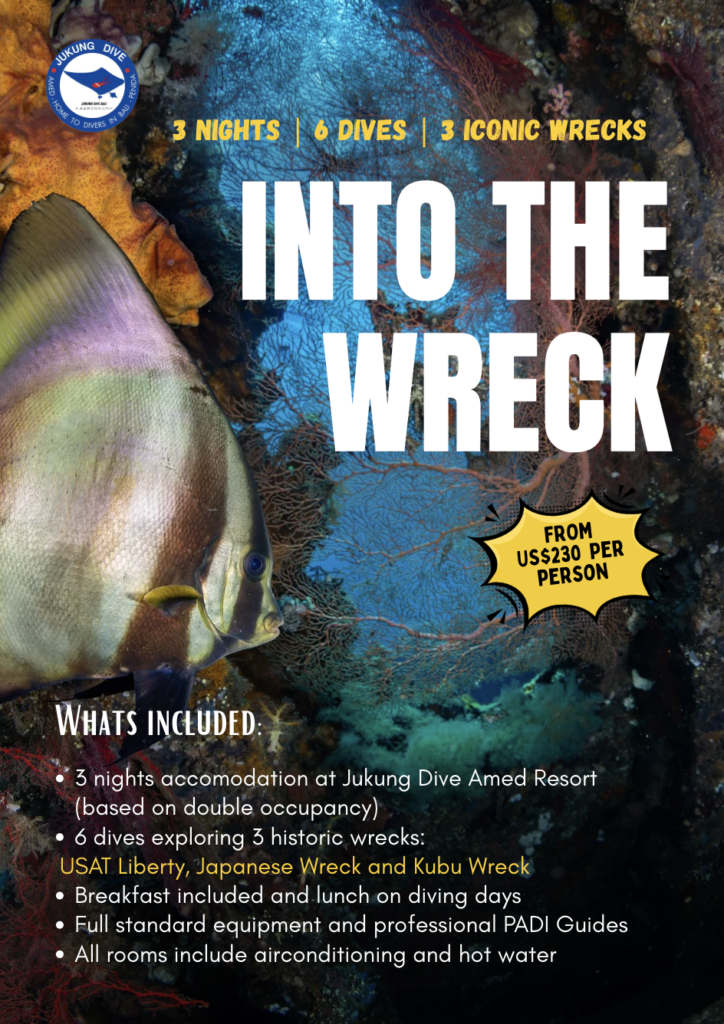 INTO THE WRECK AMED DIVING PACKAGE