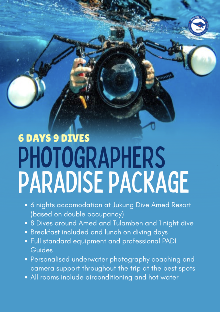 Photographers paradise package jukung dive bali