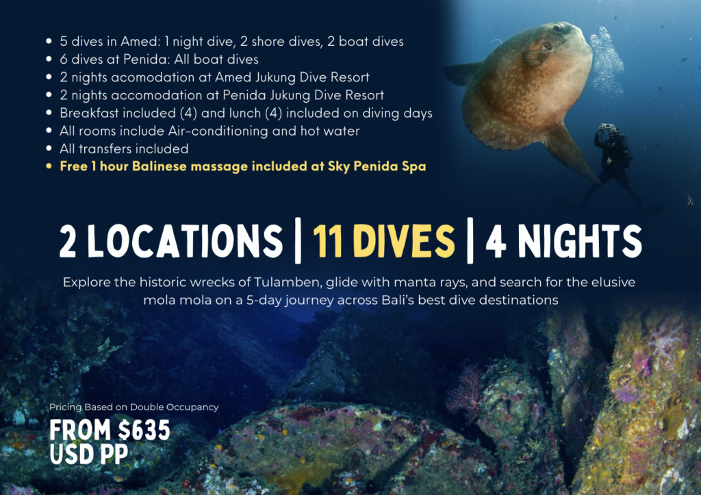 Dive package fun dive special
