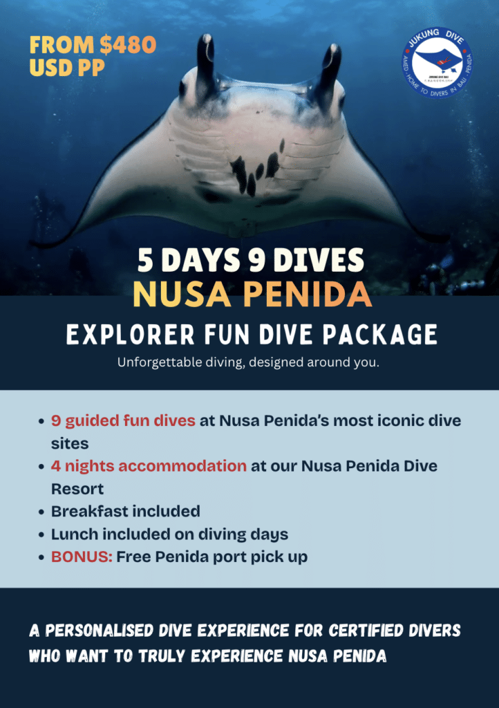 4 night 9 dives package fun diving nusa penida