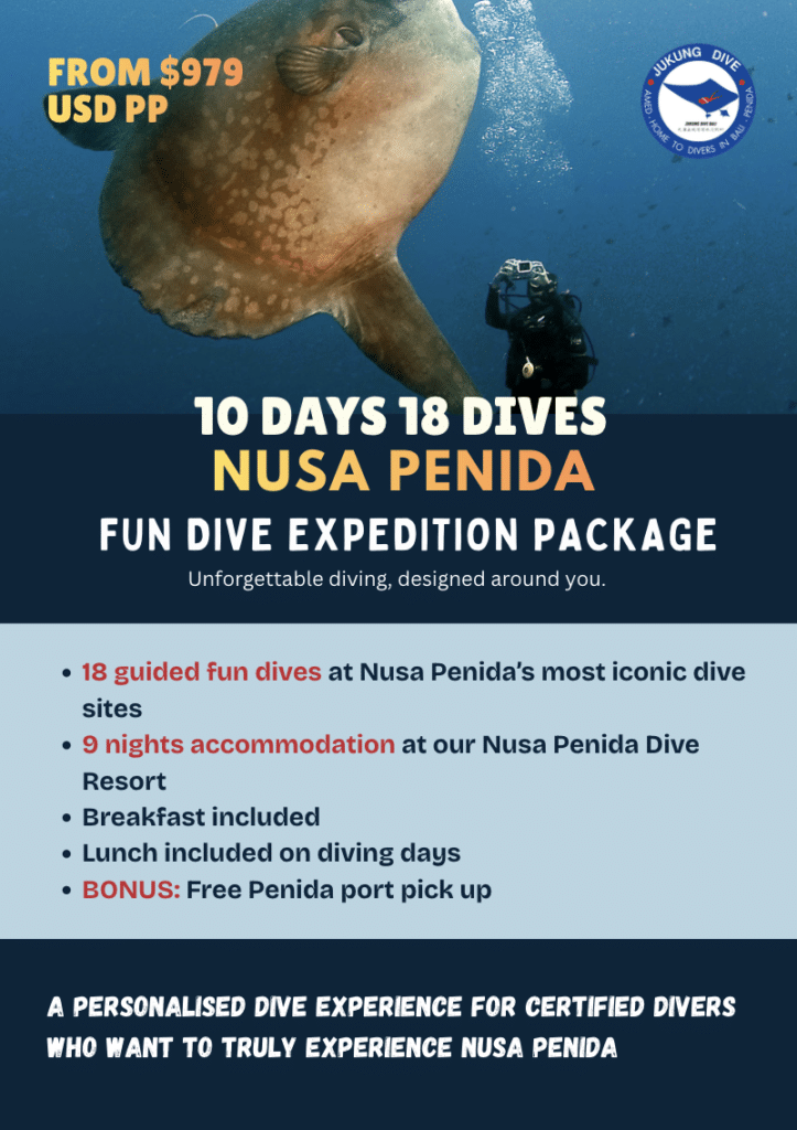 Safari Dive Package Jukung Dive Nusa Penida Fun Diving