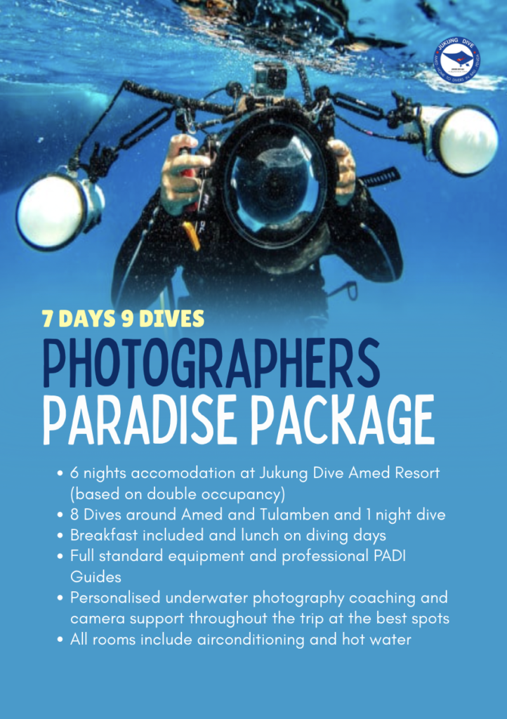 Photographers paradise package jukung dive bali