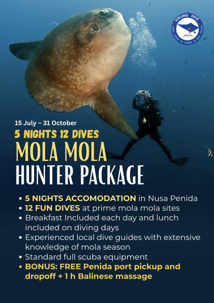 MOLA MOLA HUNTER PACKAGE