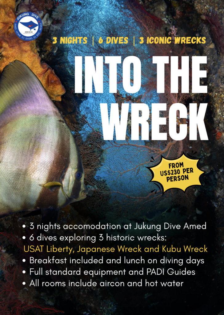 INTO THE WRECK AMED DIVING PACKAGE
