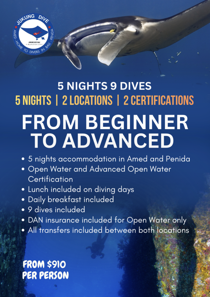 Open water and Advanced Course Split package amed and penida