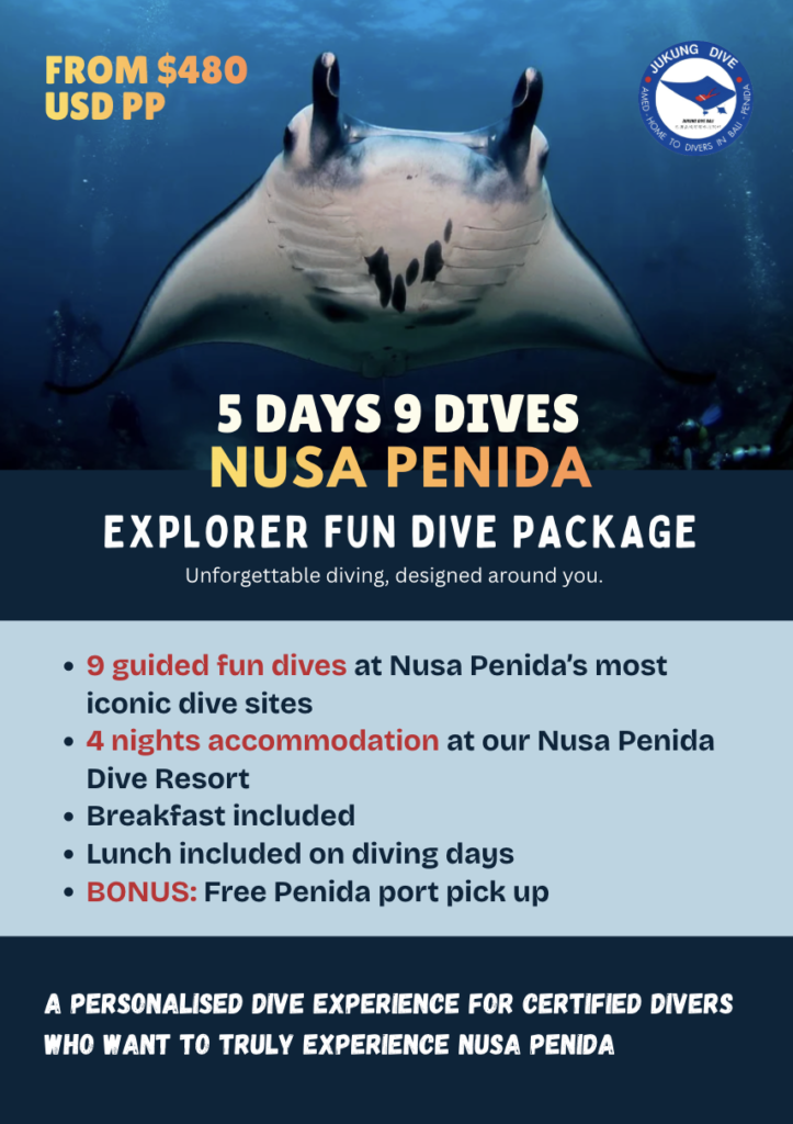 4 night 9 dives package fun diving nusa penida