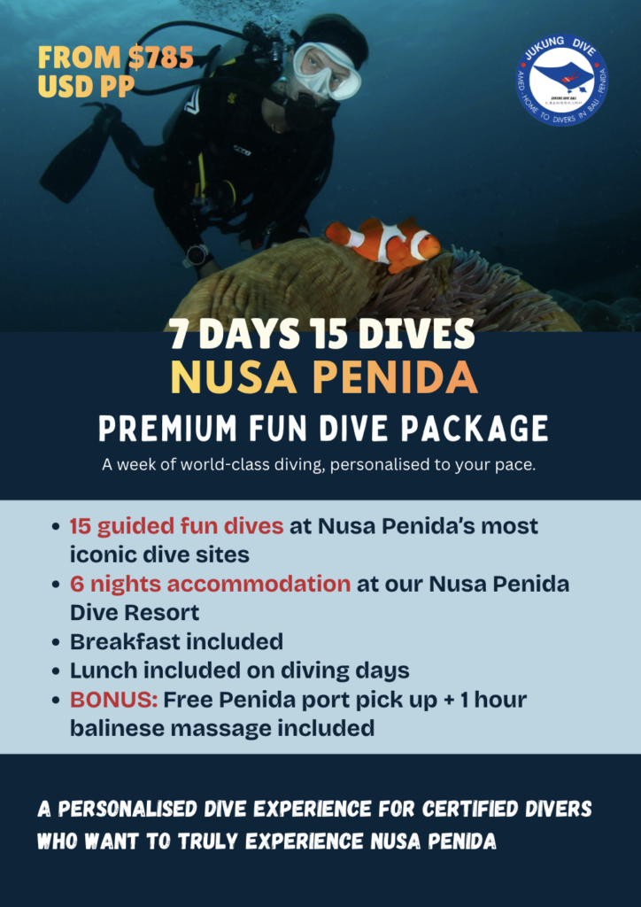 7 days fun diving package nusa penida