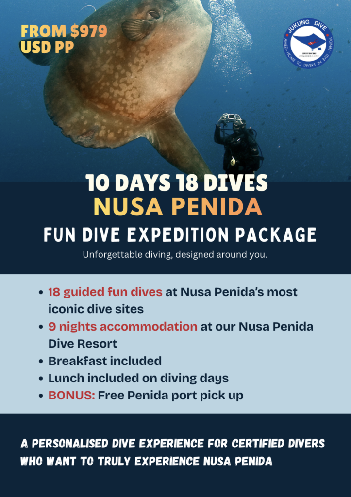 Safari Dive Package Jukung Dive Nusa Penida Fun Diving