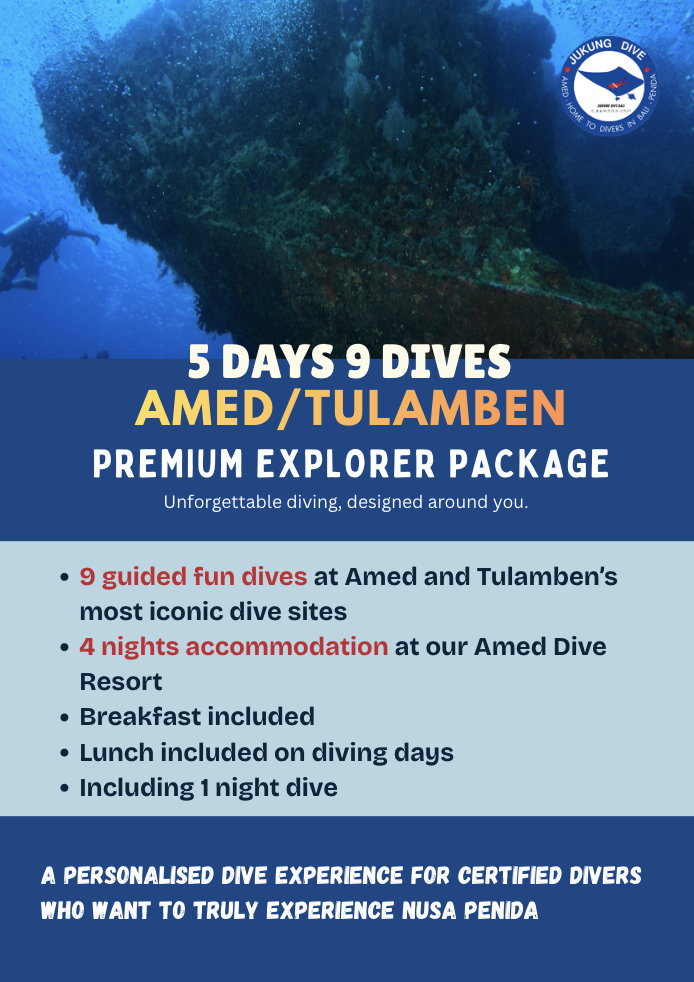 Amed fun diving safari