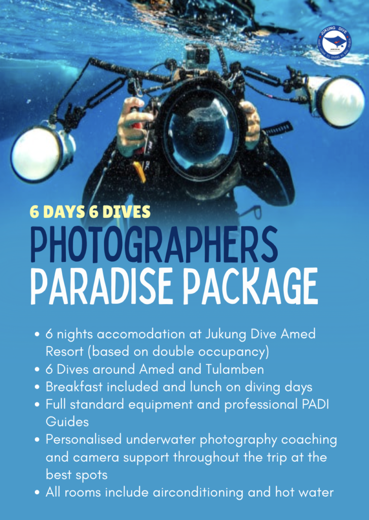 Photographers paradise package jukung dive bali
