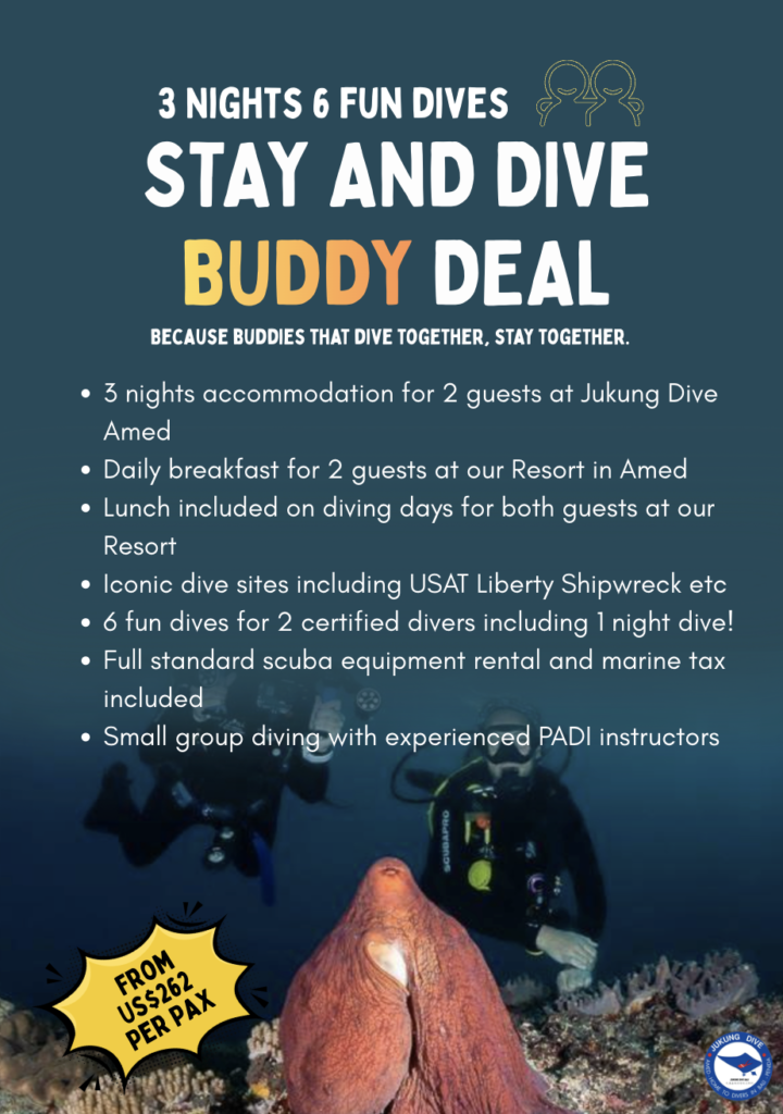 Stay and Dive Buddy deal Amed