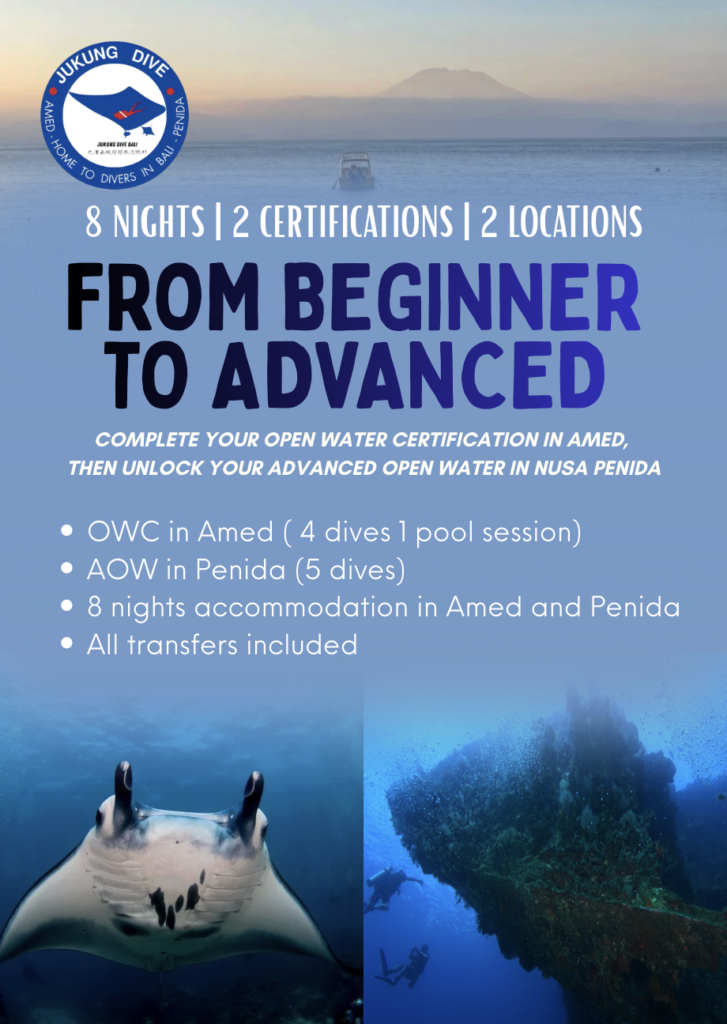 OW and AOW course split package penida and amed