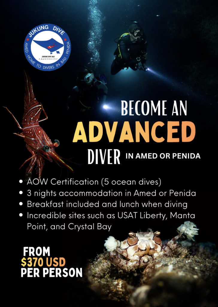 Advanced Open water Course Amed or Penida