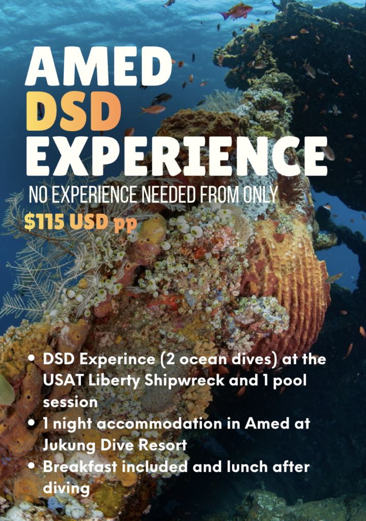 Amed DSD experience