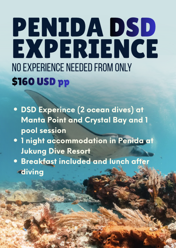 Penida DSD experience