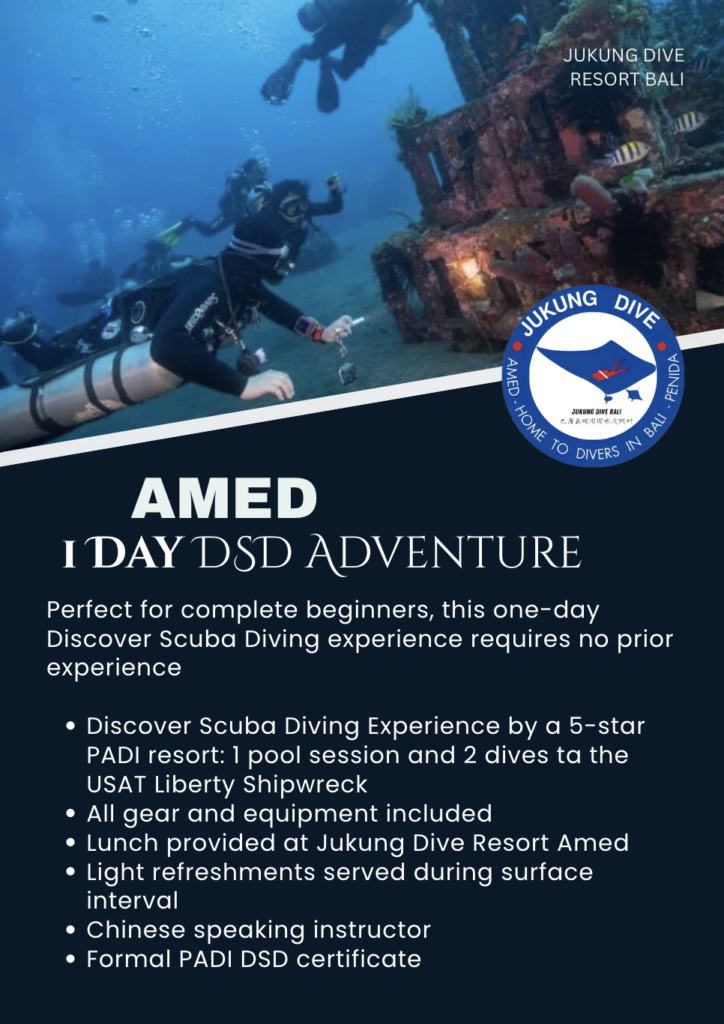 Amed one day dsd adventure