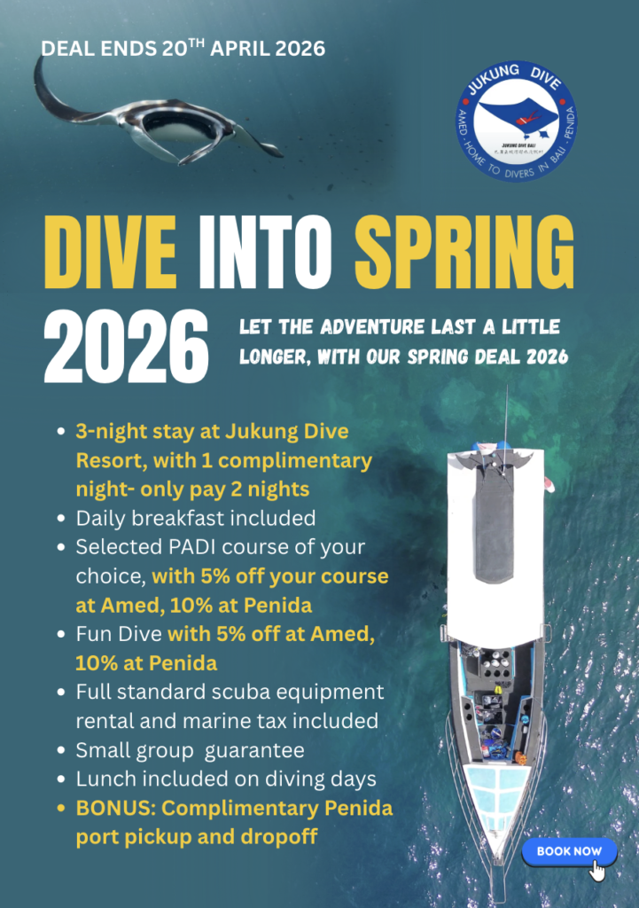 Dive into spring package