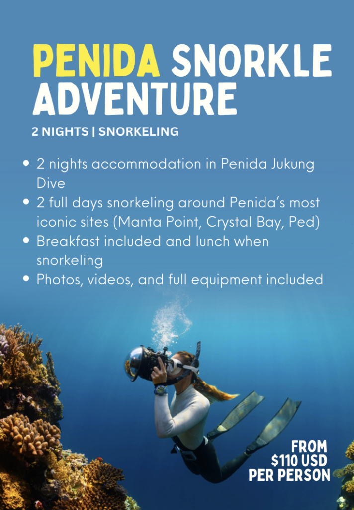 Penida snorkel adventure package