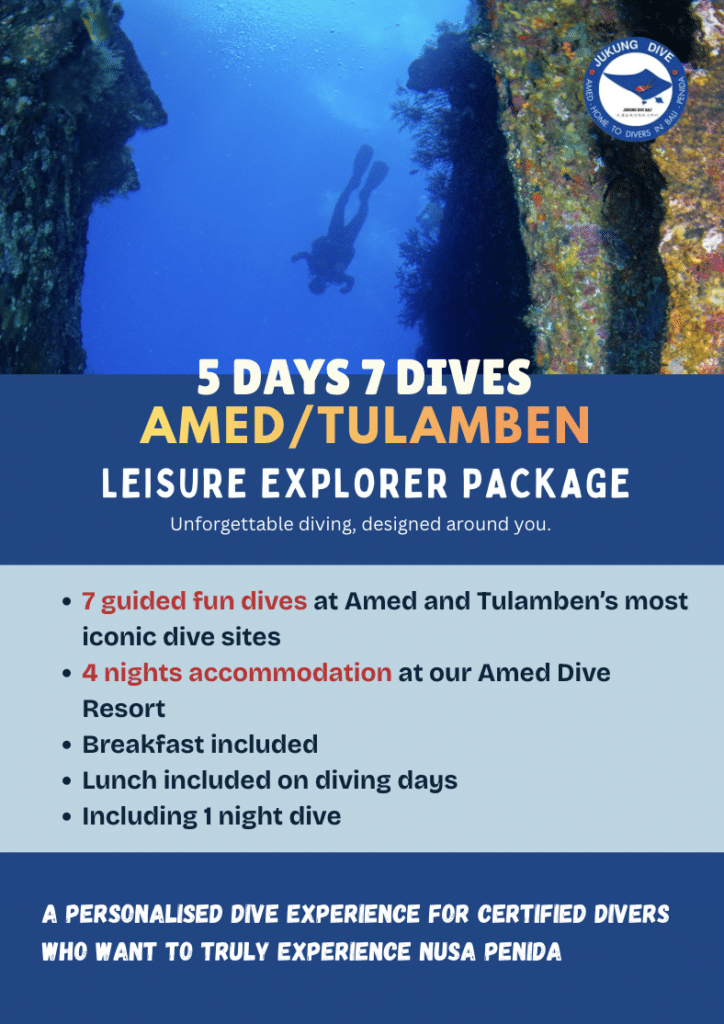 Amed Safari Dive Package Fun Diving