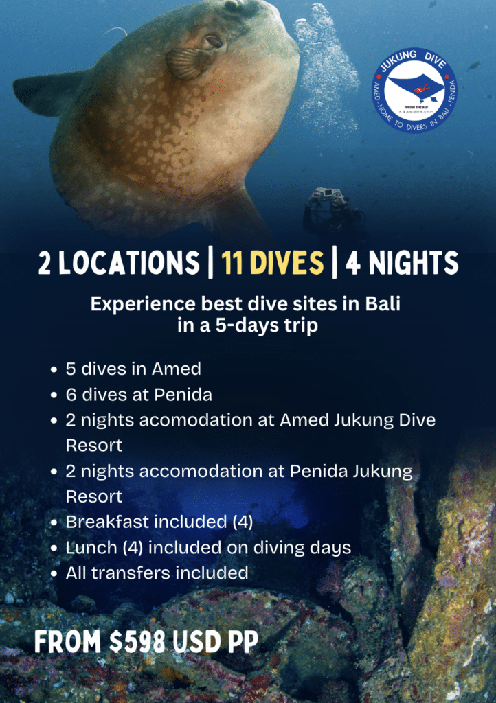 Penida and Amed fun dive safari