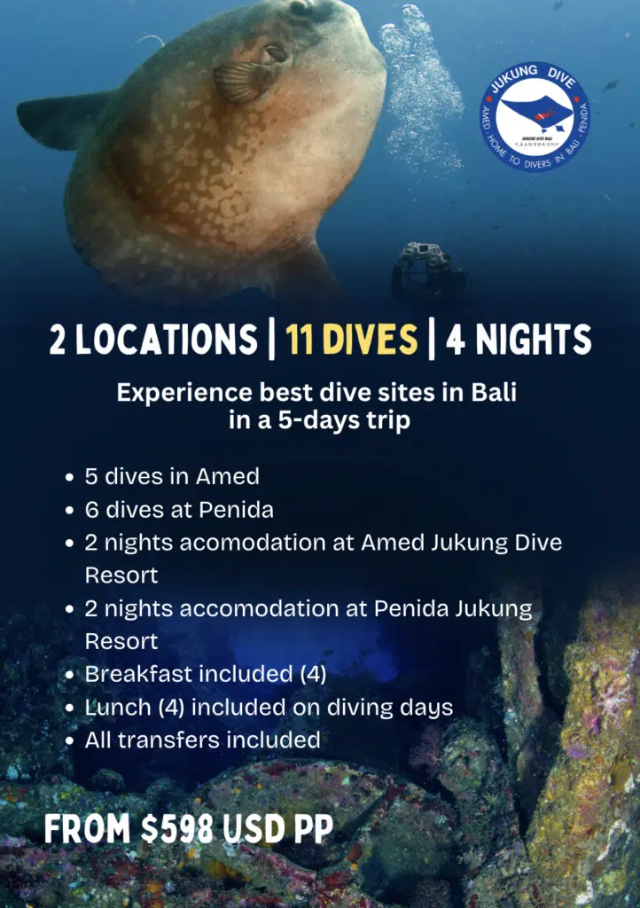 Penida and Amed fun dive safari