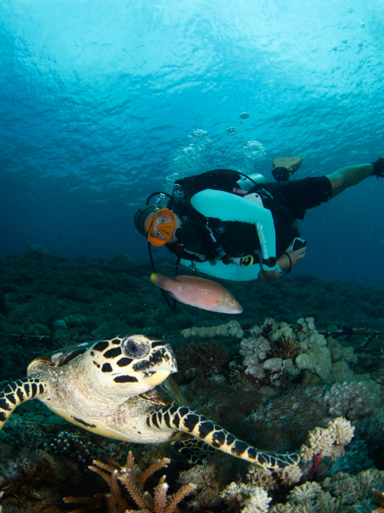 Gerald Dive instructor from France working in Penida underwater with a turtle diving