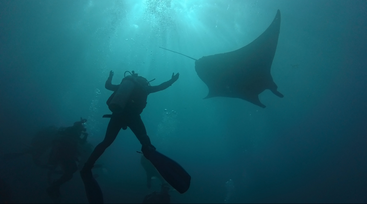 Scuba diver swimming alongside a majestic manta ray during a Discover Scuba Diving experience in Nusa Penida, Bali, one of the world's best destinations for beginner divers.