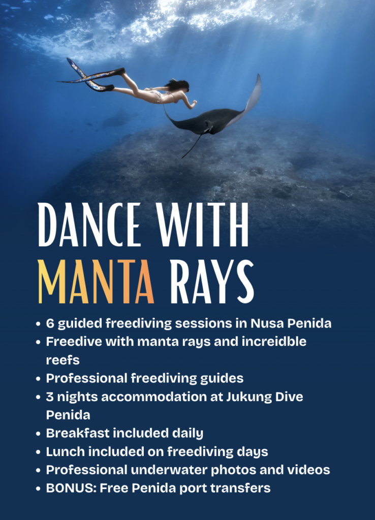 Nusa Penida freediving package with guided manta ray and reef freediving in Bali