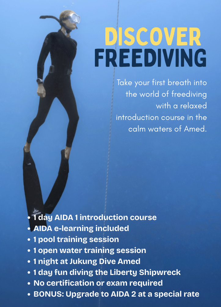 Beginner AIDA 1 freediving course and USAT Liberty freediving package in Amed, Bali