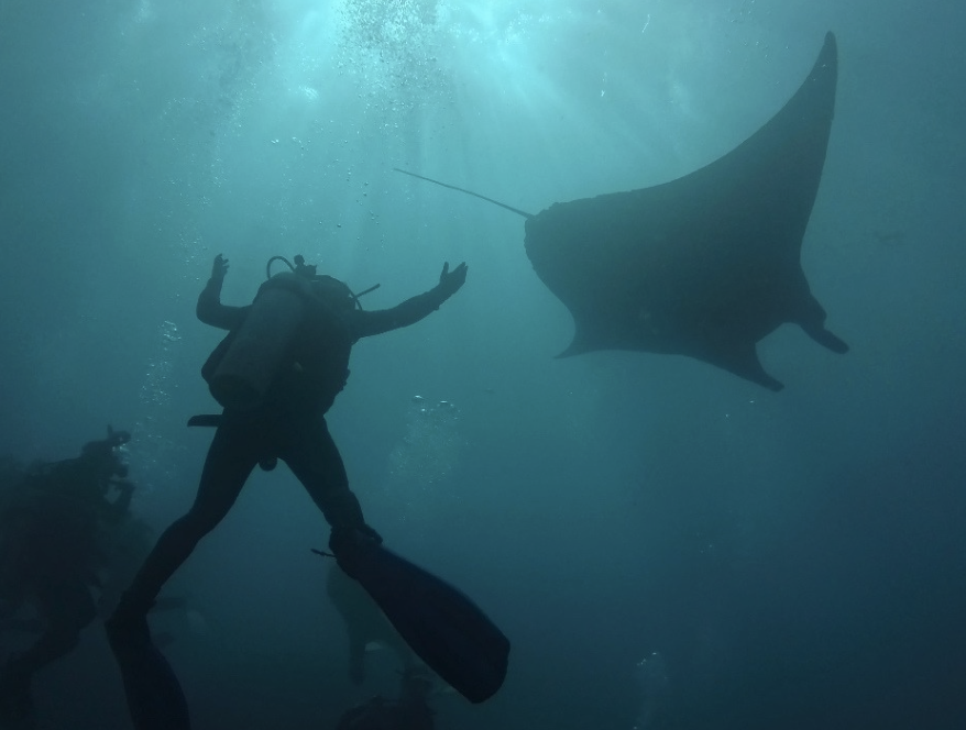 First-time scuba diver swimming alongside a majestic manta ray during a PADI Discover Scuba Diving adventure in Nusa Penida, Bali