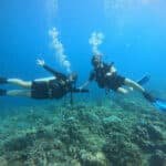 Two divers happy underwater in Amed