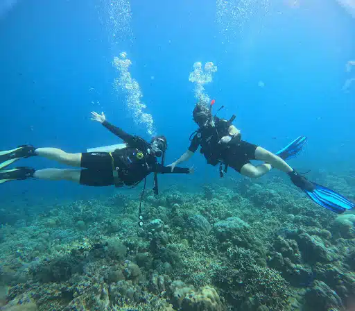 Two divers happy underwater in Amed