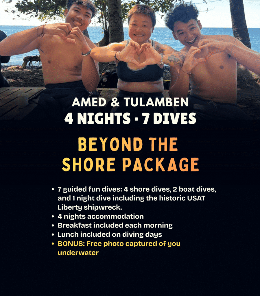 View Beyond the Shore diving package – 4 nights and 7 dives in Amed and Tulamben