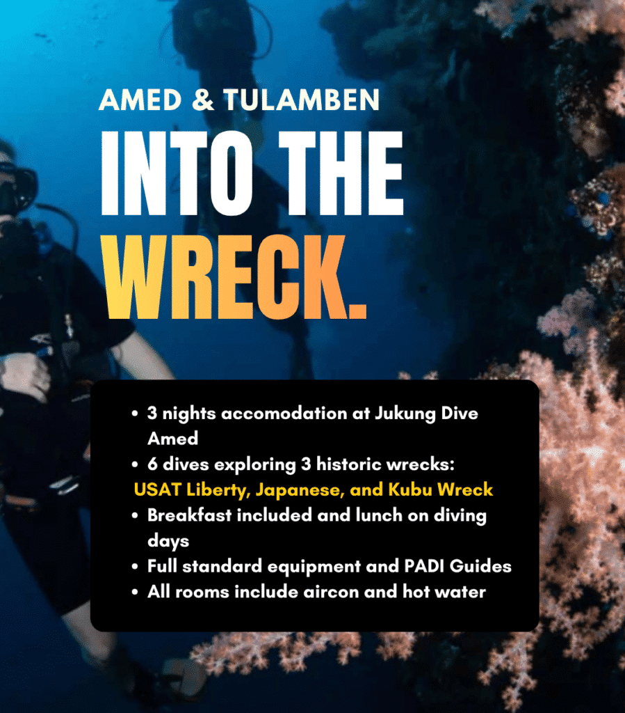 View Into the Wreck diving package – 3 nights exploring shipwrecks in Amed and Tulamben