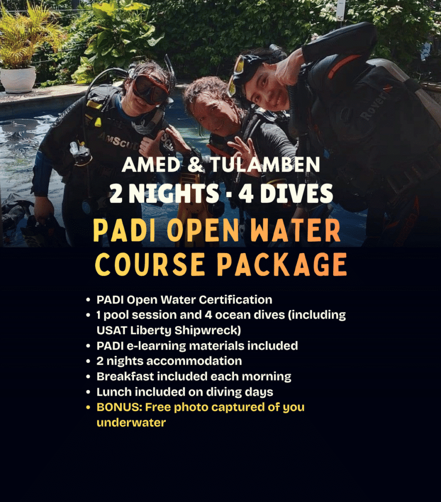 View PADI Open Water course package in Amed – beginner scuba certification with 2 nights and 4 ocean training dives