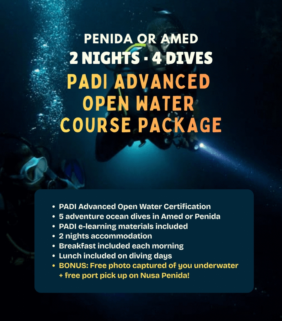 View PADI Advanced Open Water course package – 5 adventure dives and 2 nights in Amed or Nusa Penida