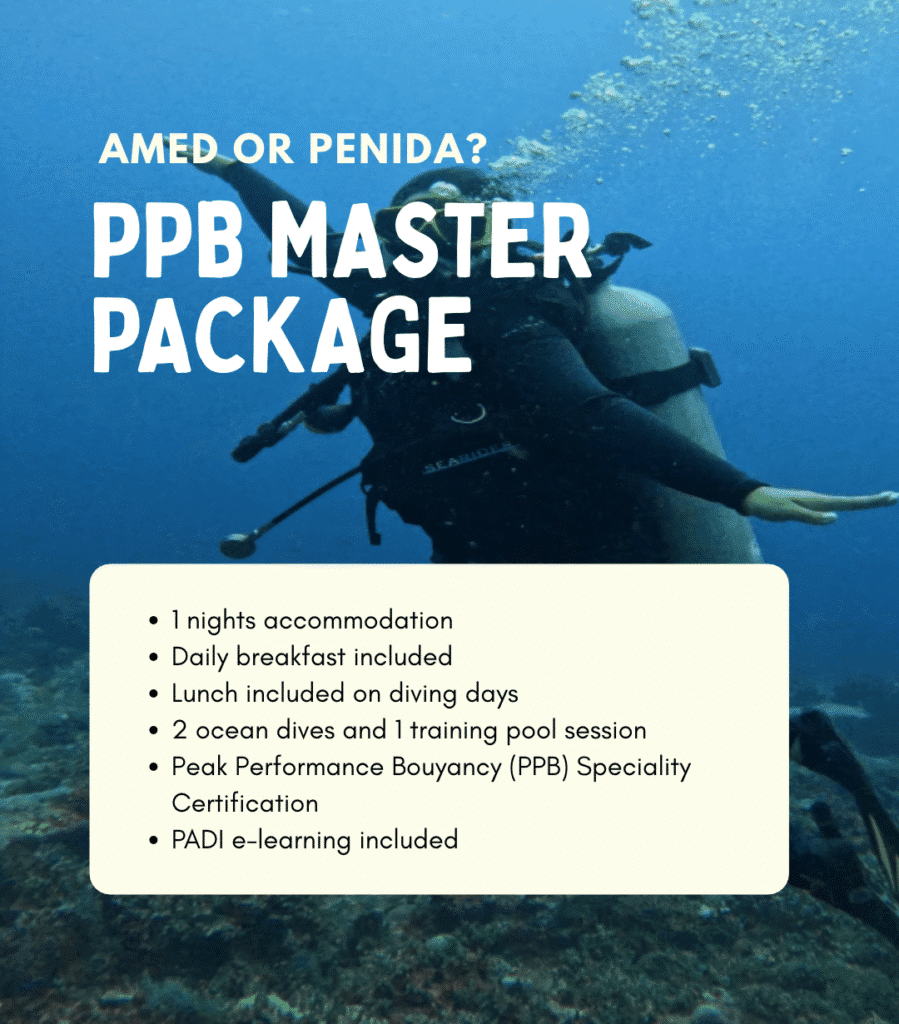 View PADI Peak Performance Buoyancy package – pool training, 2 ocean dives and 1 night in Amed or Nusa Penida