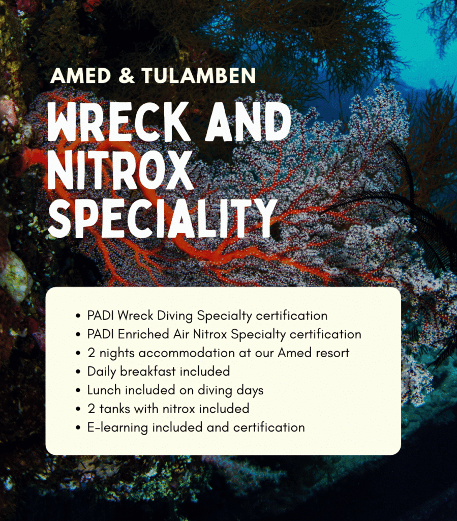 View PADI Wreck Diver and Nitrox specialty package – wreck diving training and 2 nights in Amed