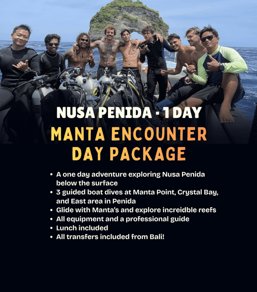 View Manta Encounter day diving package – 3 guided boat dives in Nusa Penida for certified divers